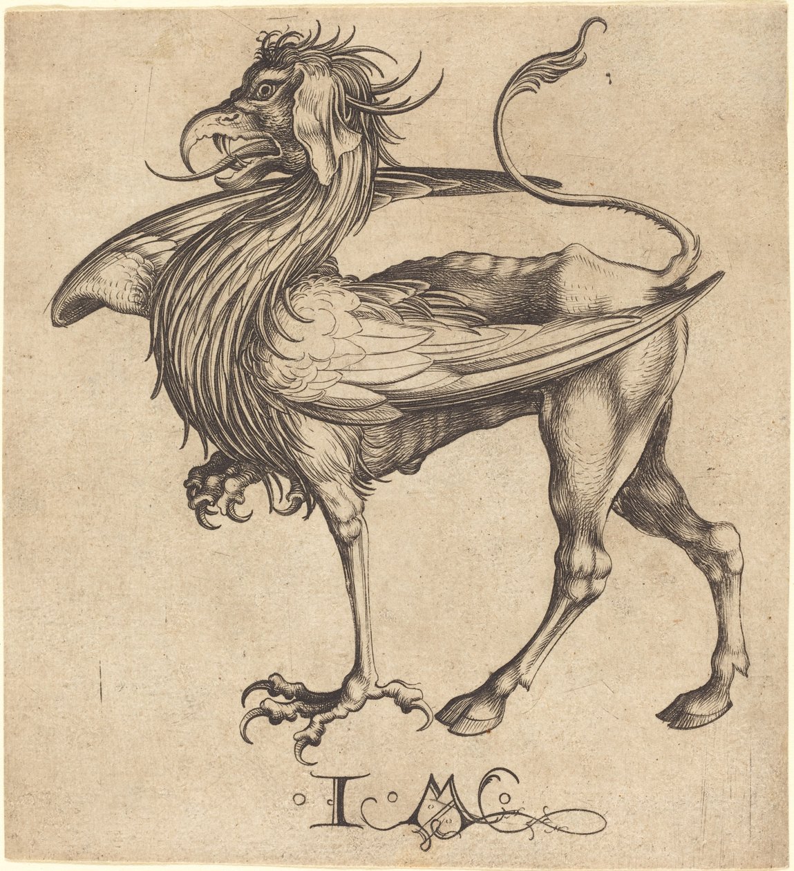 Griffin av Israhel van Meckenem after Martin Schongauer