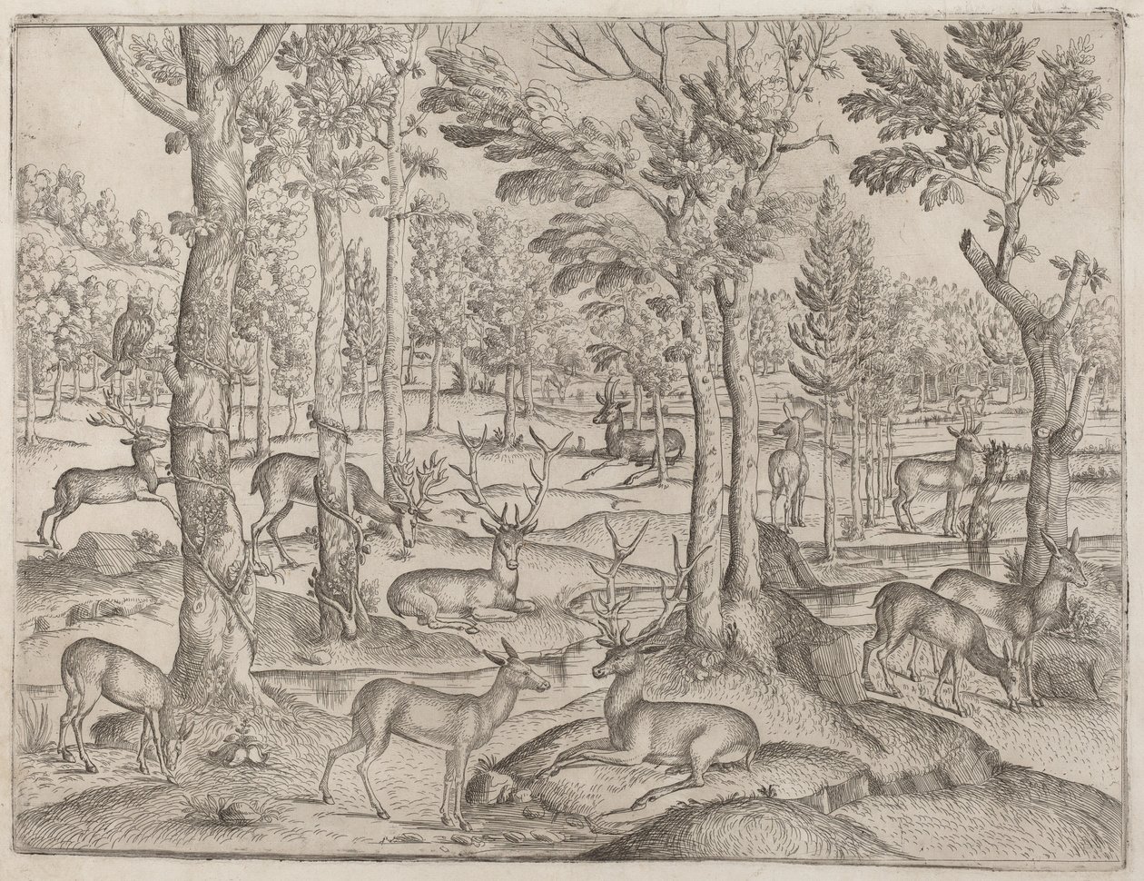 Rådjur i skogen av Italian 16th Century