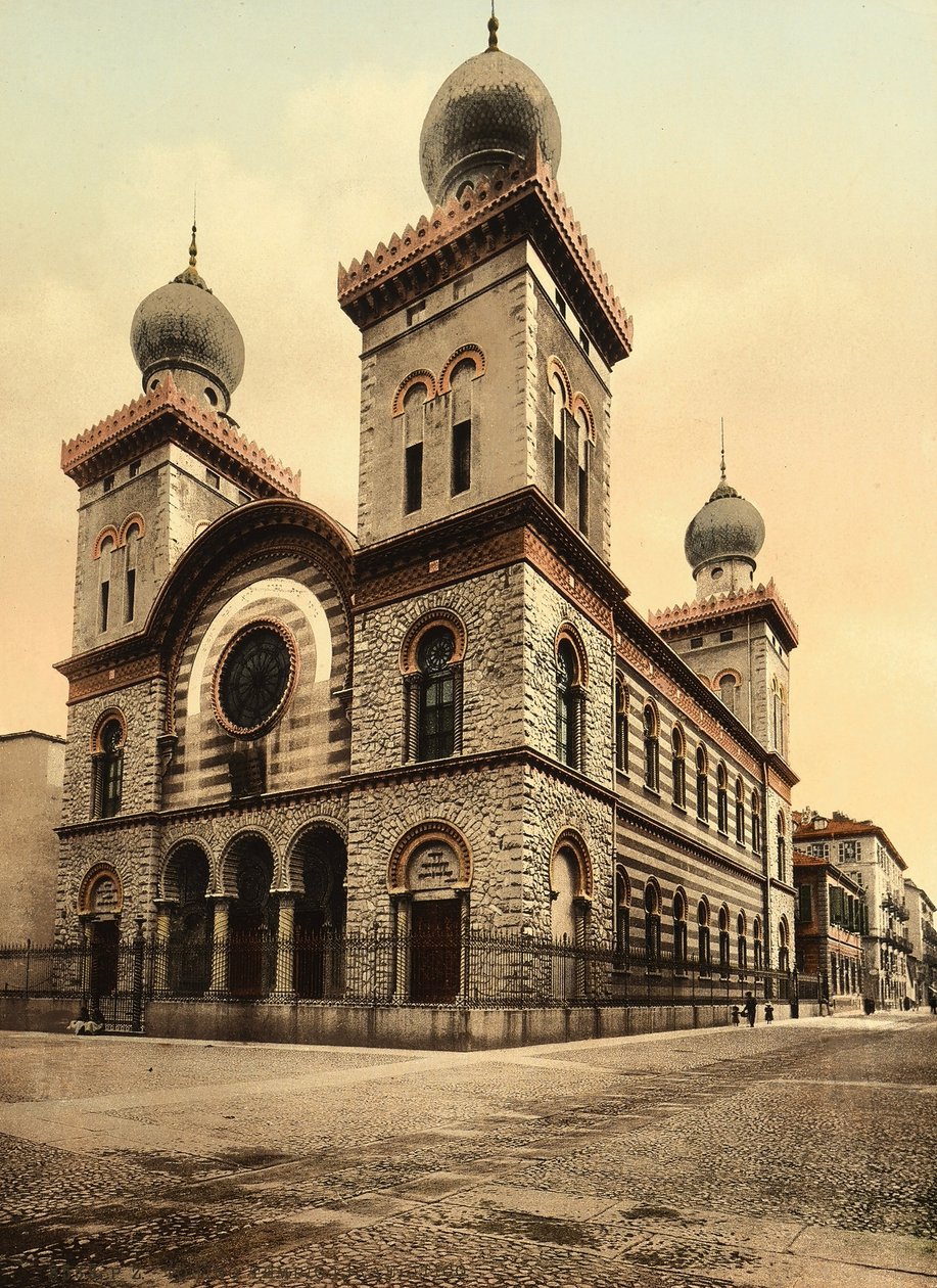 Israels tempel, Turin av Italian Photographer Italian Photographer