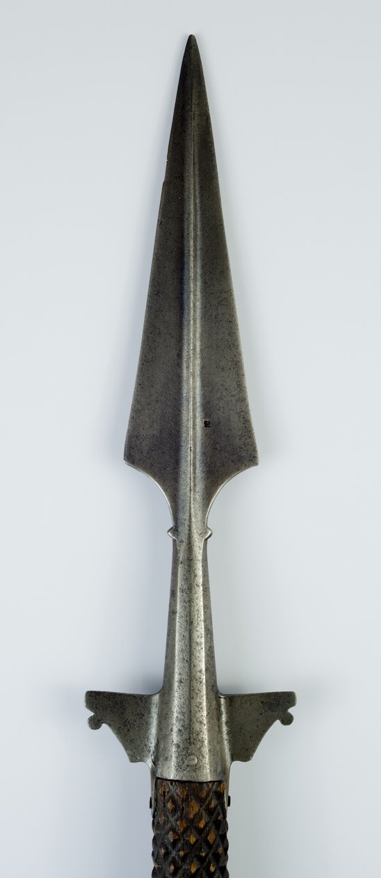 Bear Spear, c.1550 (stål och trä) av Italian School