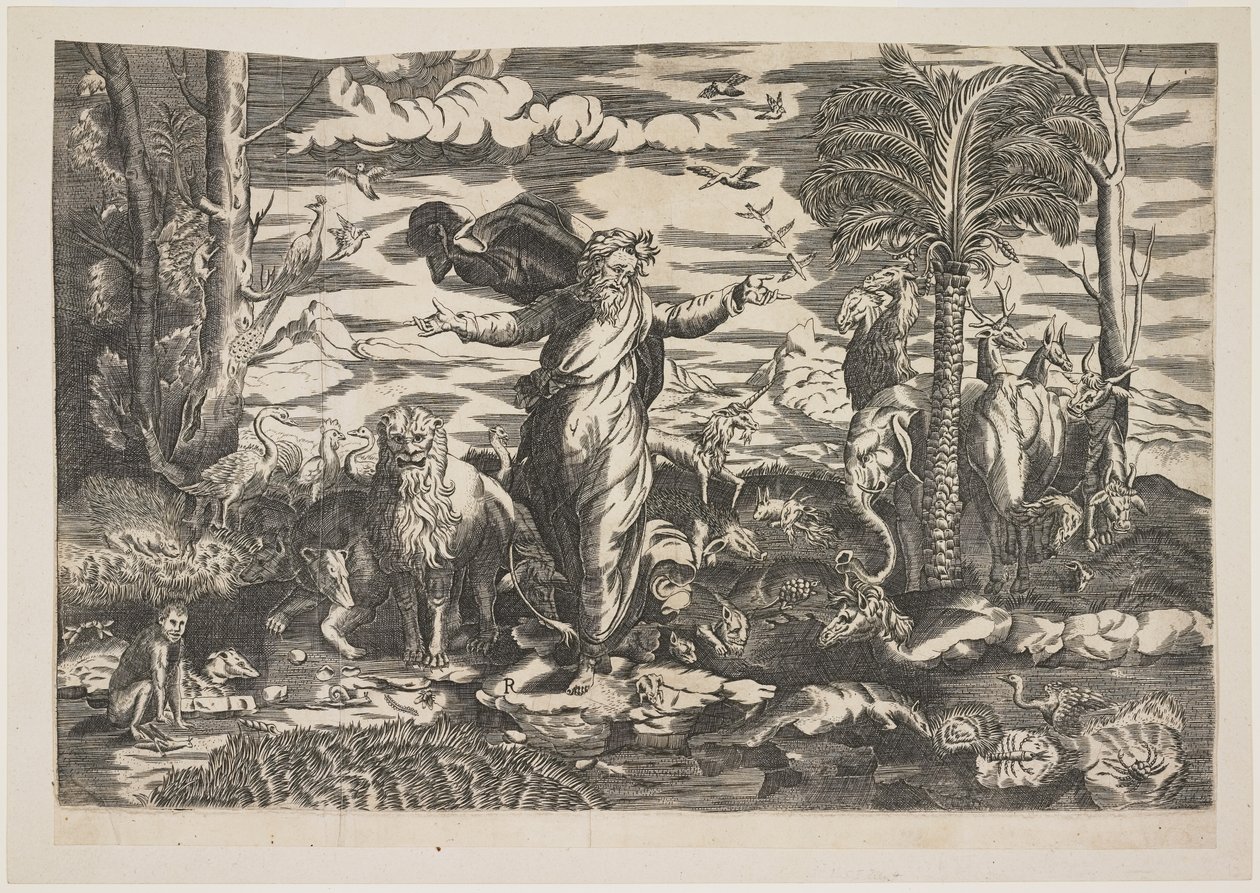Gud skapar djuren, ca 1550 av Italian School