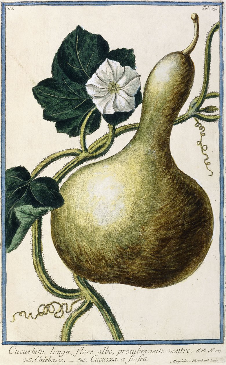 Kalebass, 1772-1784 av Italian School