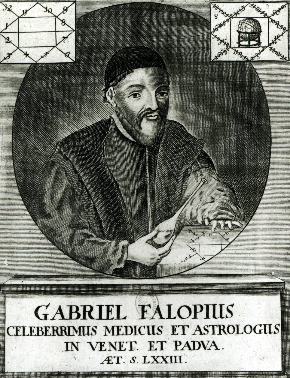 Porträtt av Gabriel Fallopius (1523-62) av Italian School