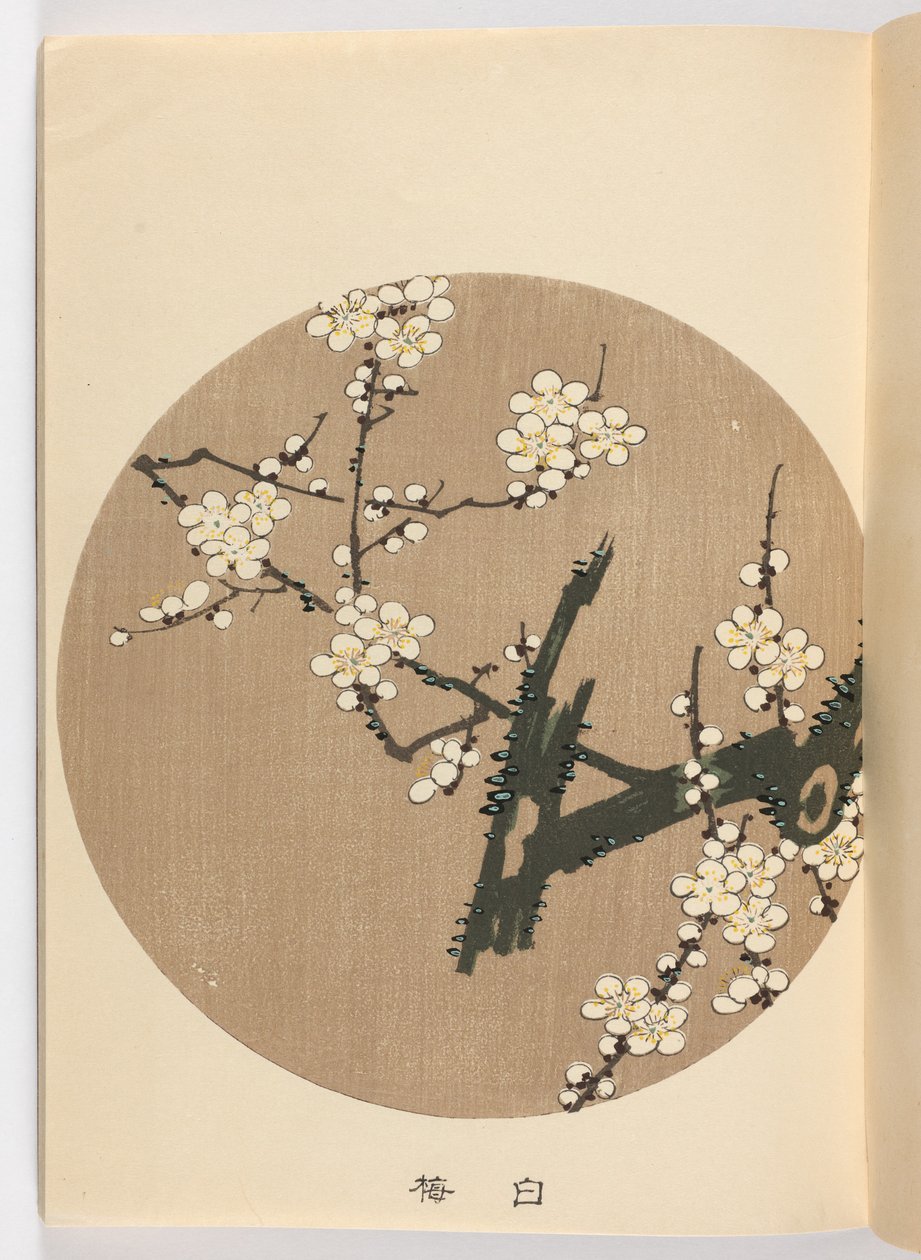 Svag ch? Är negativ, Meiji Ella, 1908 (DBock p Hayashi t) av Ito Jakuchu
