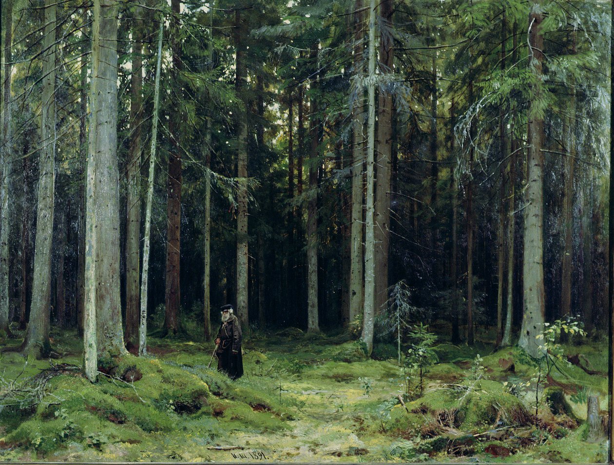 Grevinnan Mordvinovs skog, 1891 av Ivan Ivanovich Shishkin