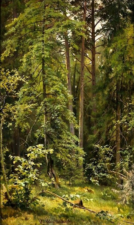 A Forest.  av Ivan Ivanovich Shishkin