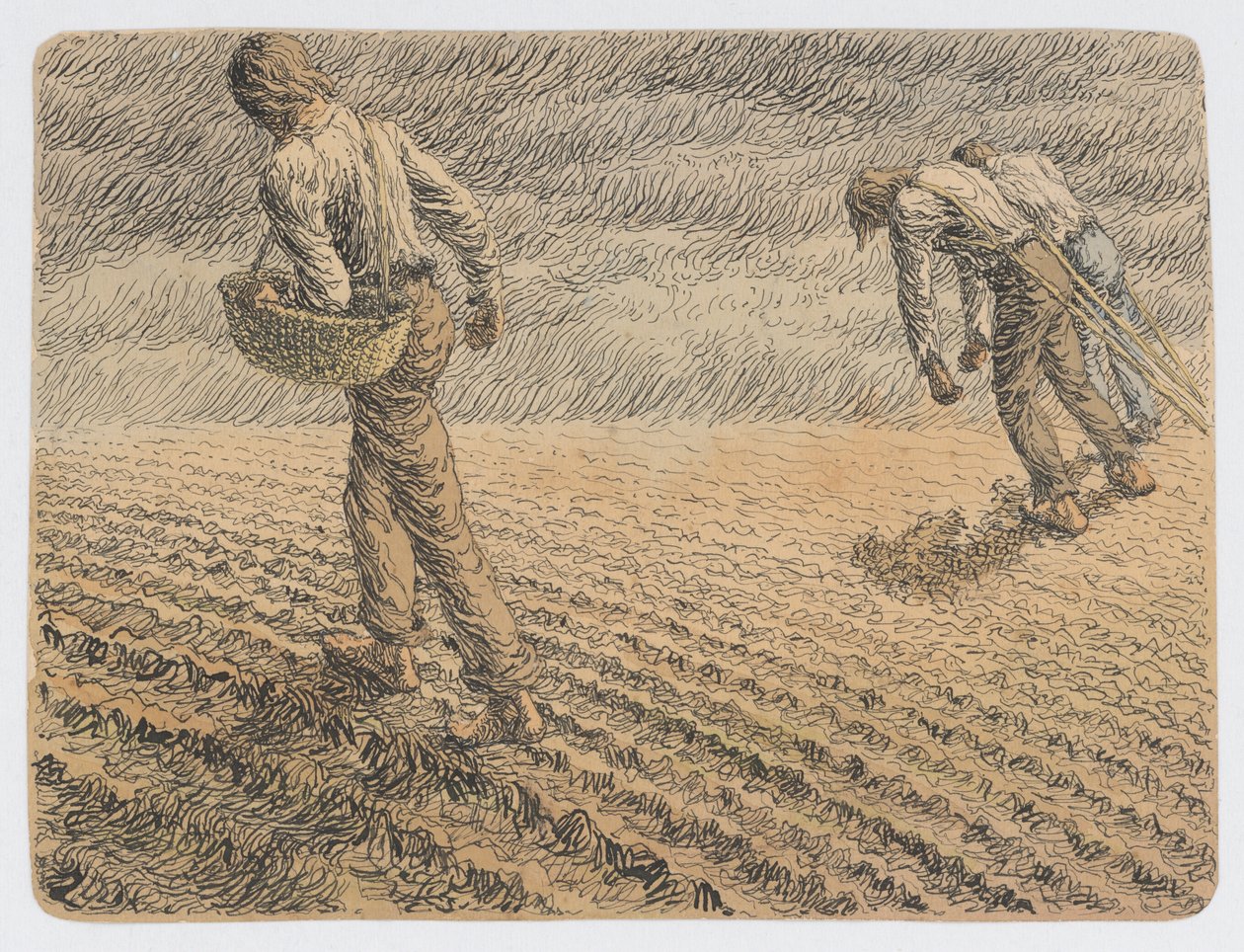 On the field av Ivan Zabota
