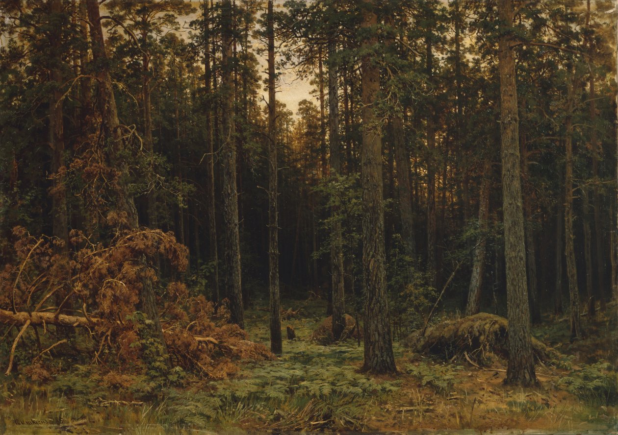 Pinewood, 1885 av Ivan Ivanovich Shishkin