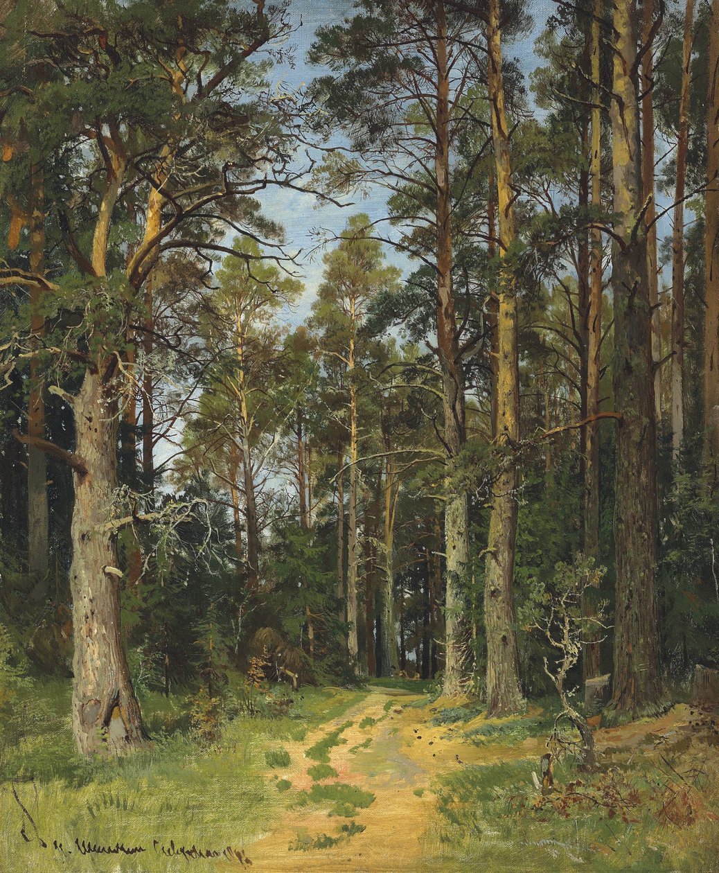 Siverskaya, 1896. av Ivan Ivanovich Shishkin