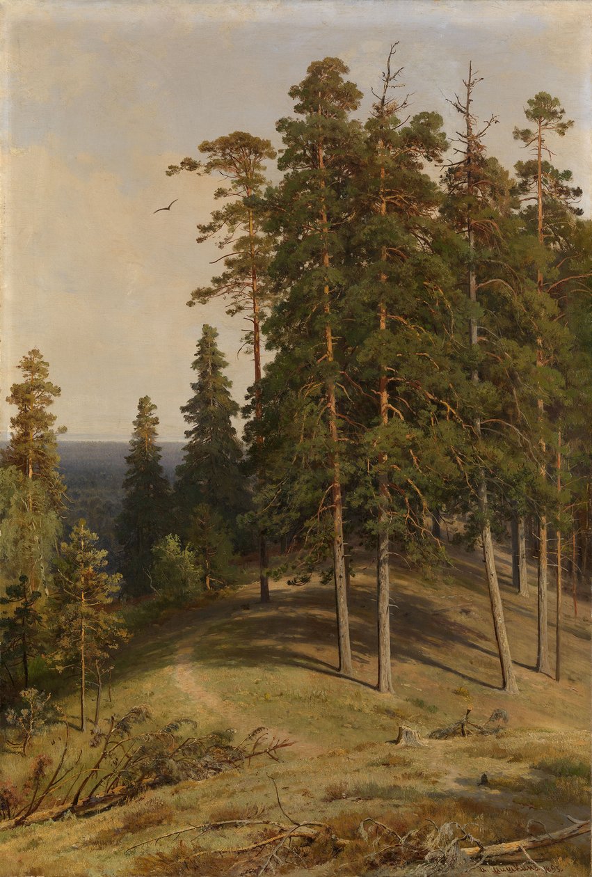 Tallskogen, 1895 av Ivan Ivanovich Shishkin