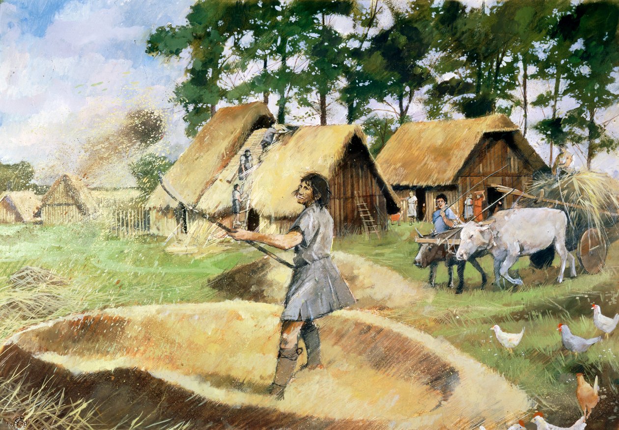 Romerskt jordbruk, c3:e århundradet, 1990-2010. av Ivan Lapper