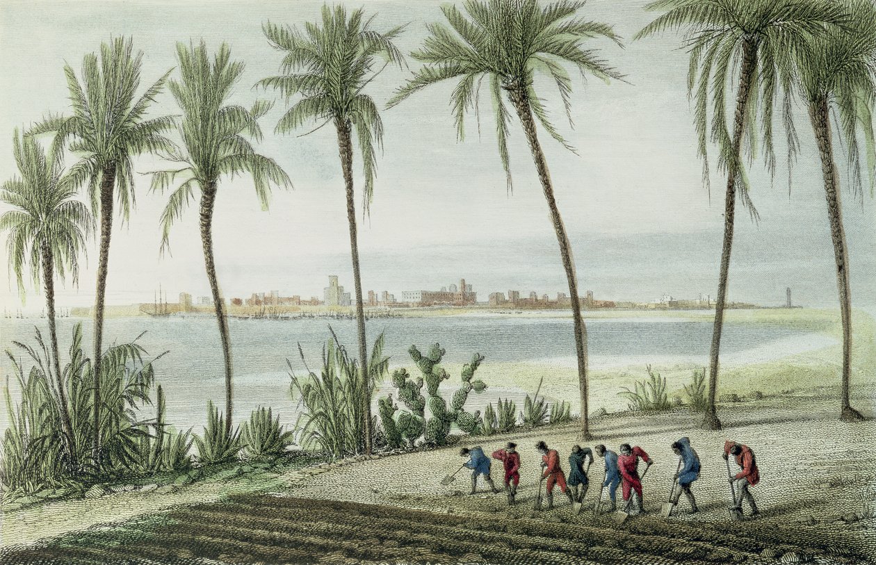 General View of Cadiz, graverad av John Pye (1782-1874) av J. Taylor