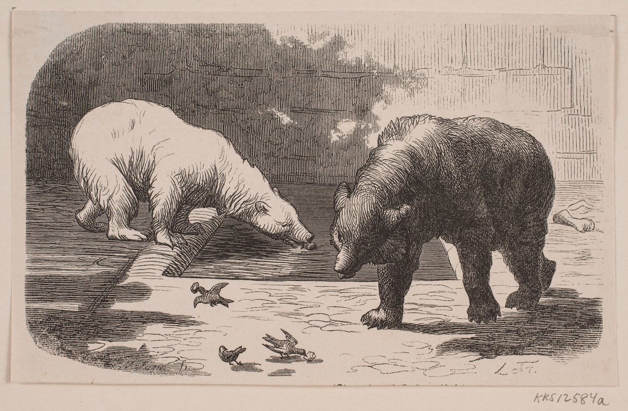 Björnar i Jardin des Plantes av J.C. Nielsen