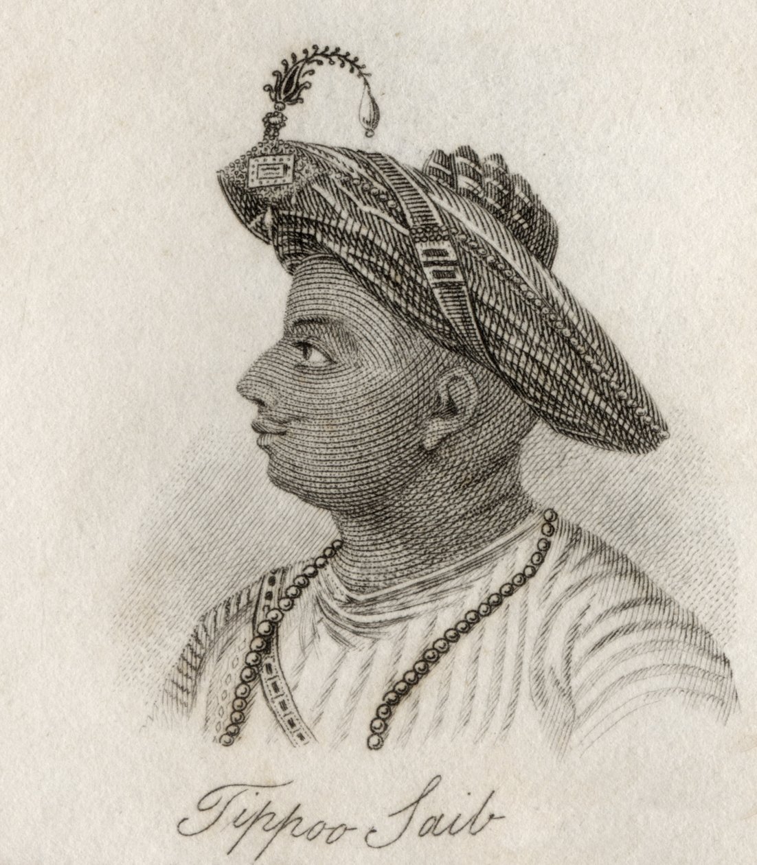 Tippoo-Se av J.W. Cook