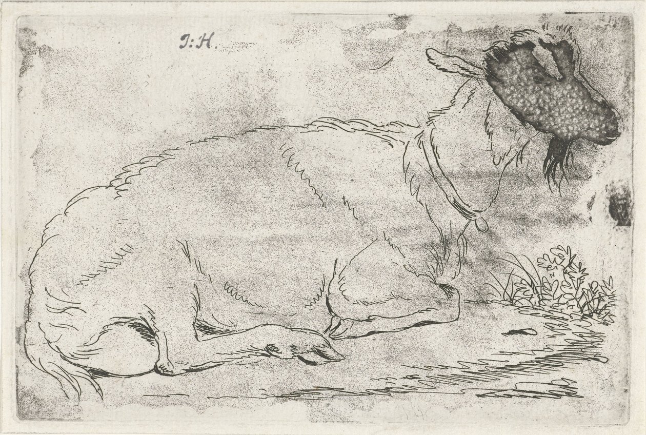 Liggande get av Jabes Heenck (signed by artist)