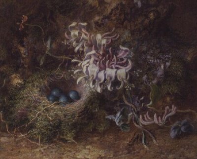 Fågelbo och kaprifol av Jabez Bligh