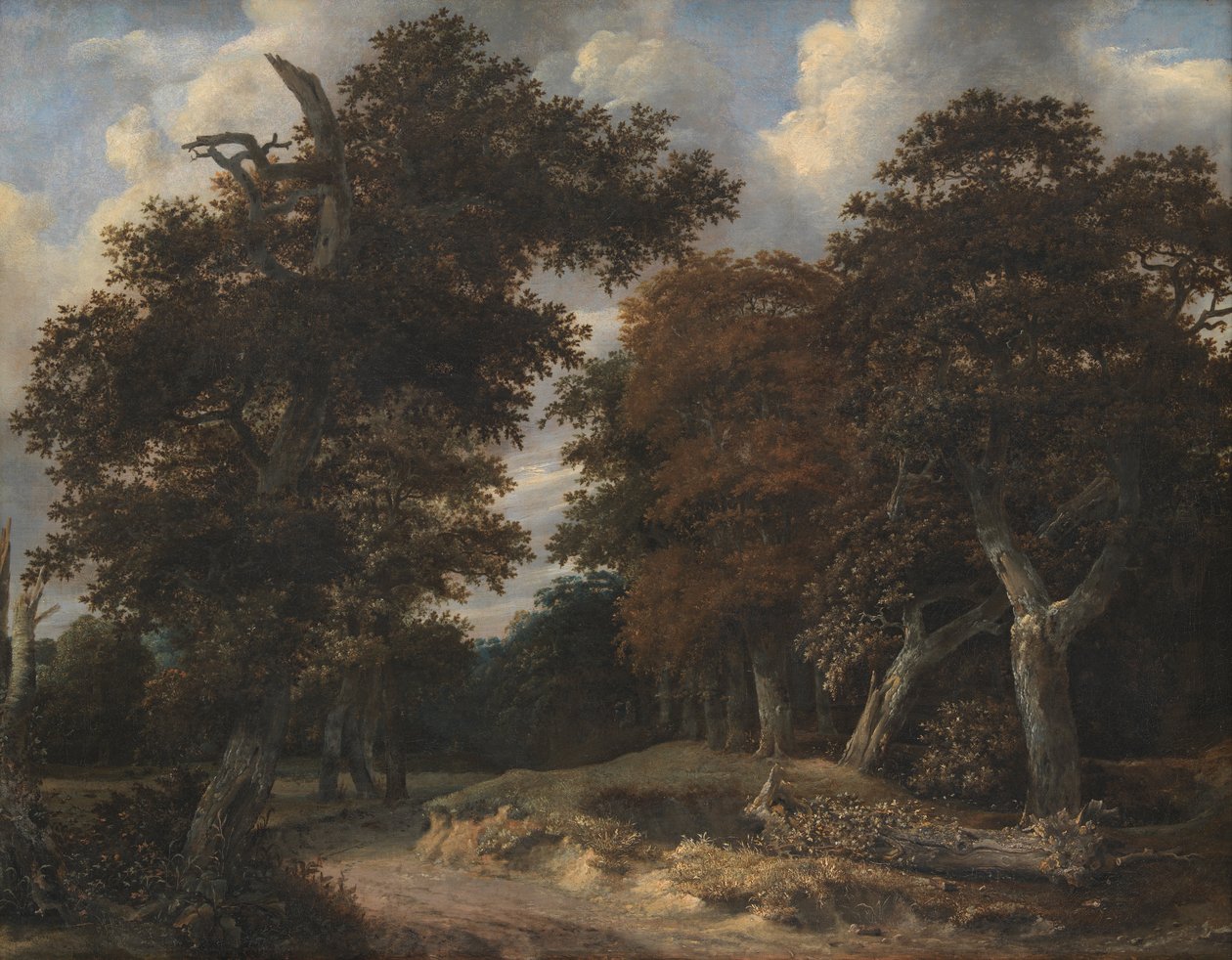 Vägen genom en ekskog av Jacob van Ruisdael