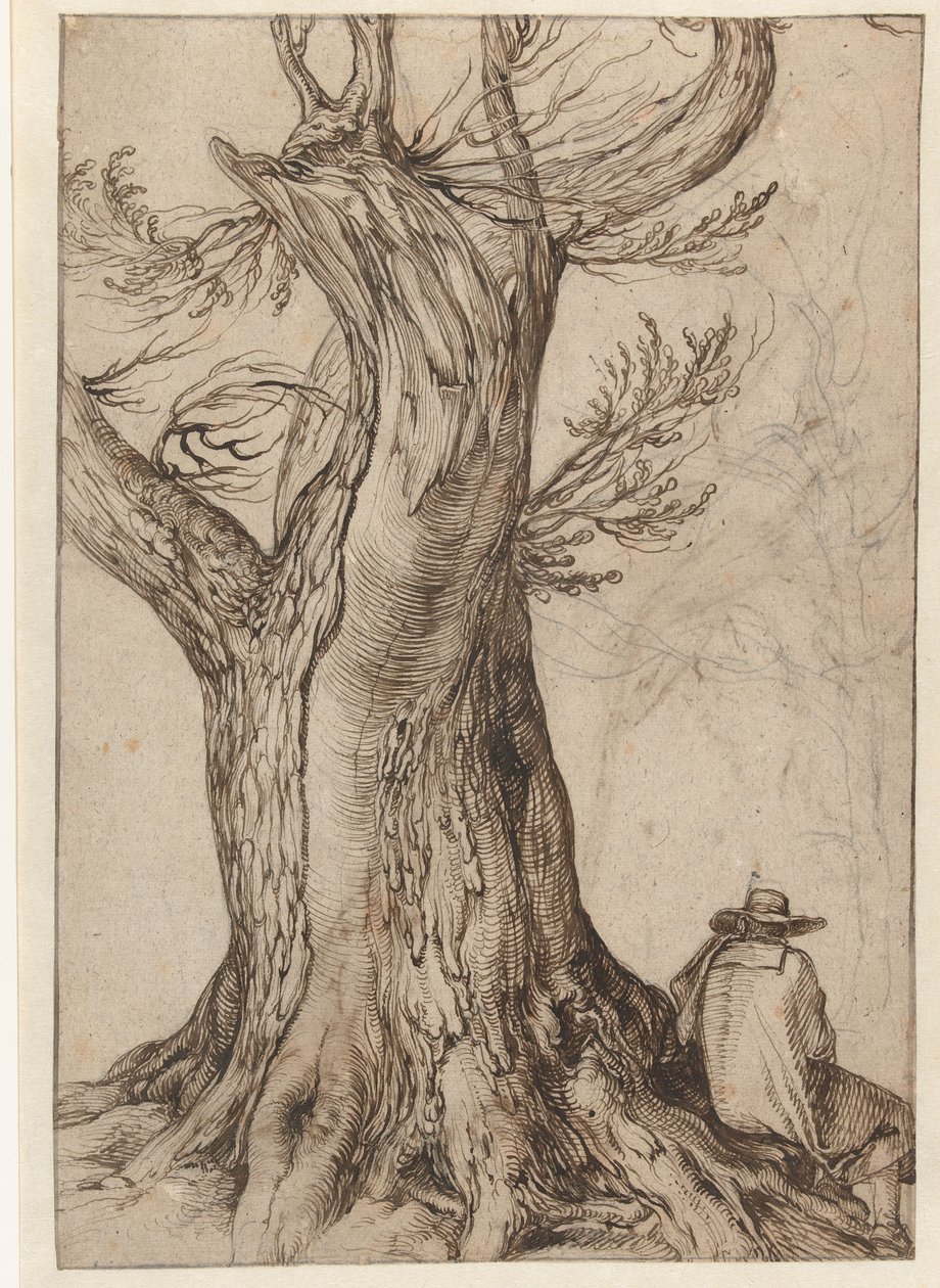 Studie av en trädstam av Jacob II de Gheyn