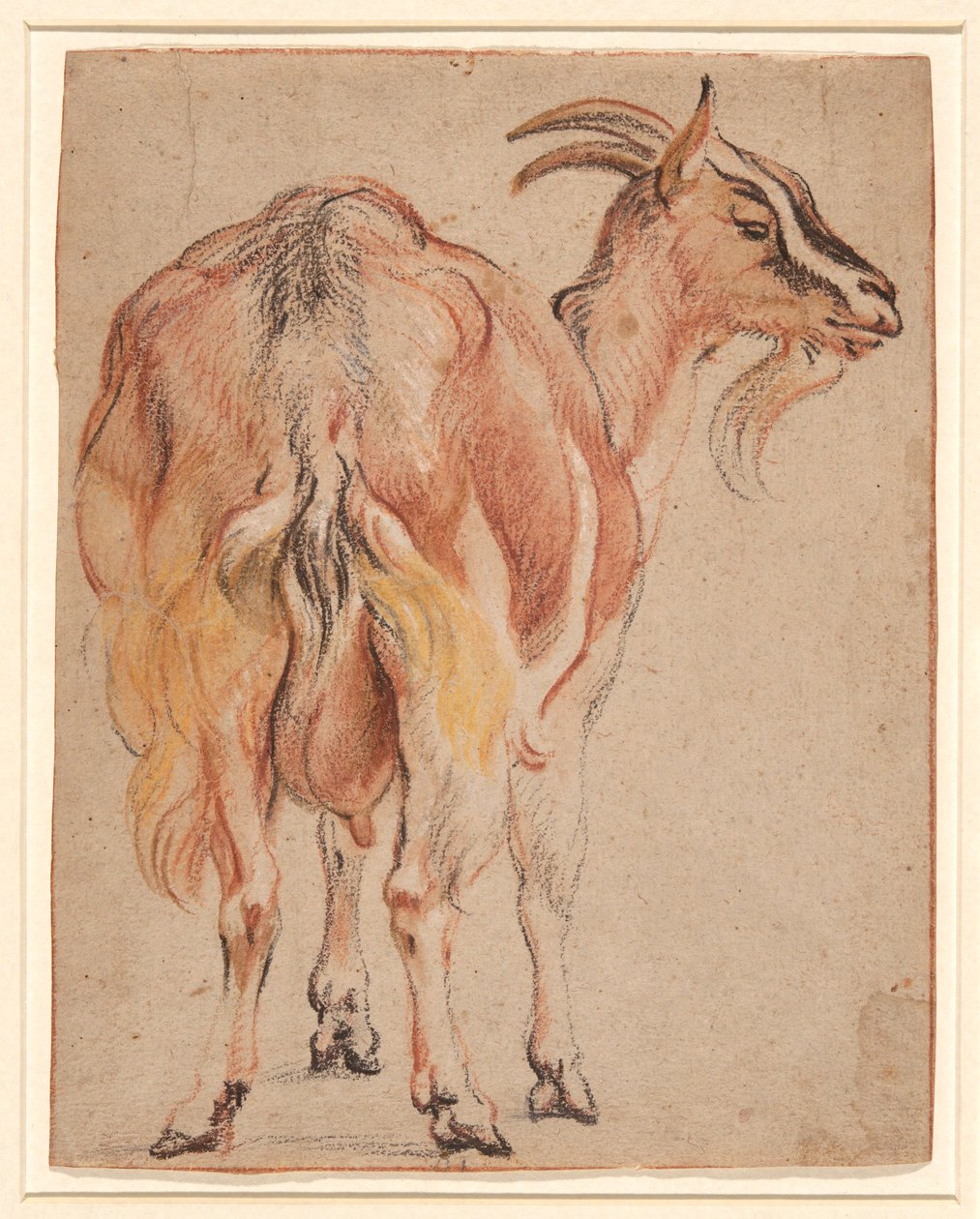 Get av Jacob Jordaens