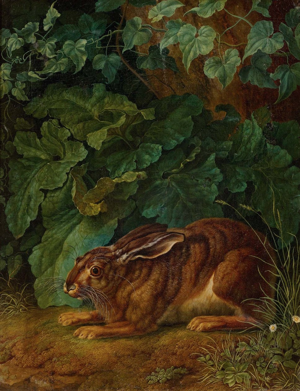 Tyska: Hare i buskarna av Jacob Philipp Hackert