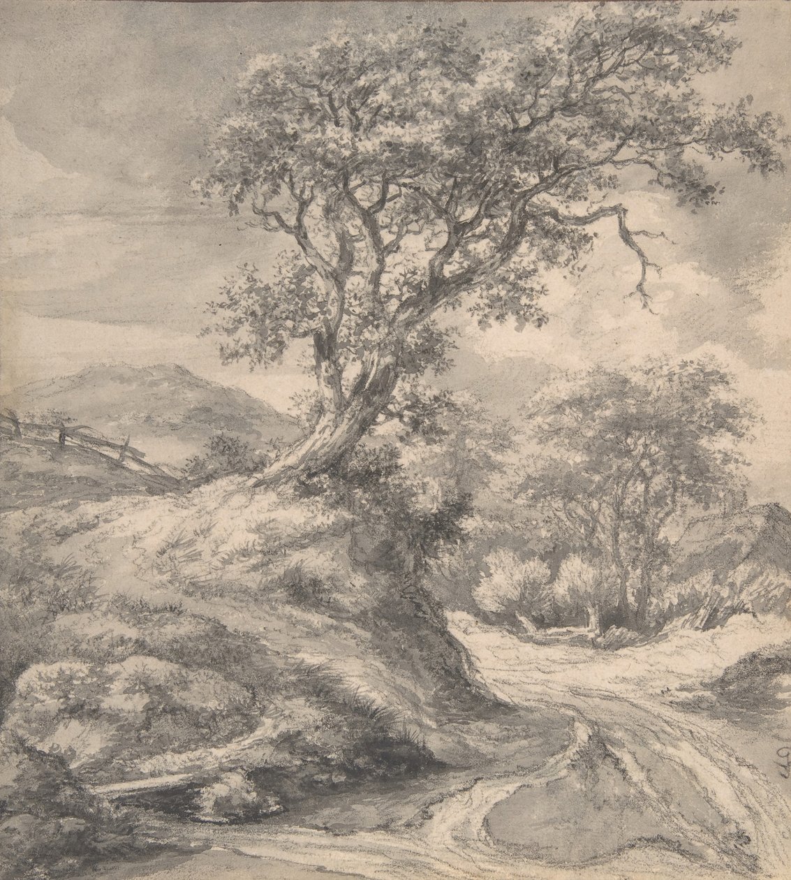 Dynlandskap med ek, 1650-55. av Jacob van Ruisdael