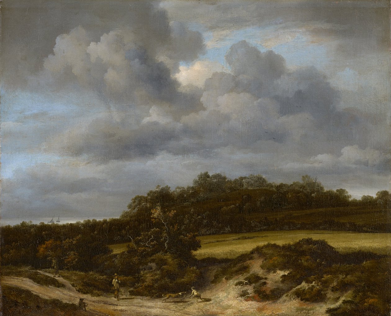 Majsfältet av Jacob van Ruisdael