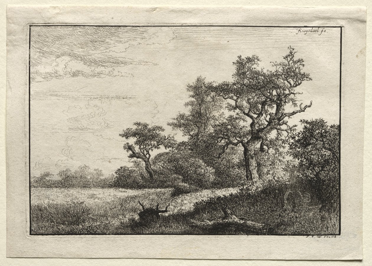 Vetefältet av Jacob van Ruisdael