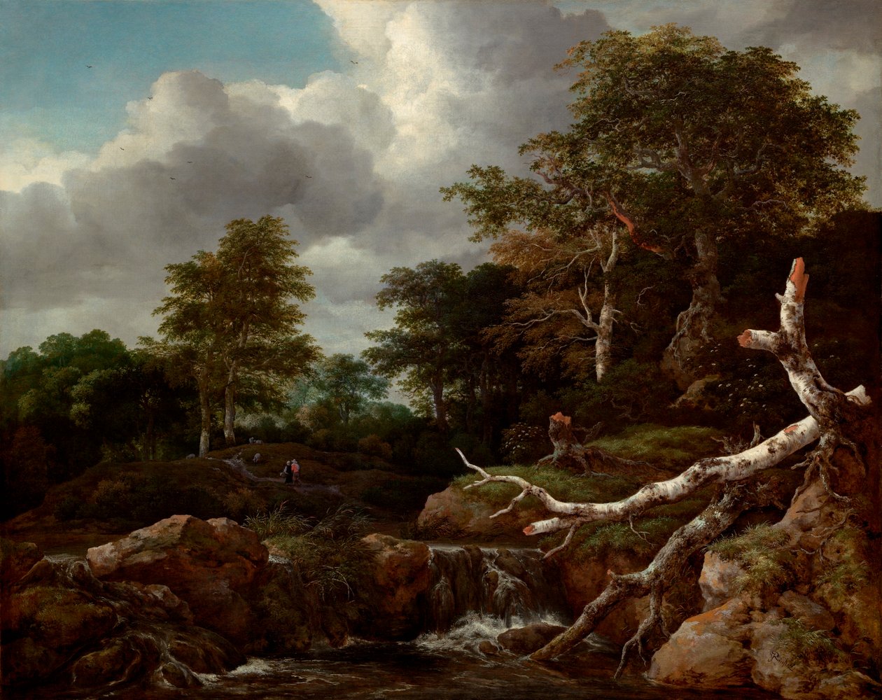 Waldszene av Jacob van Ruisdael