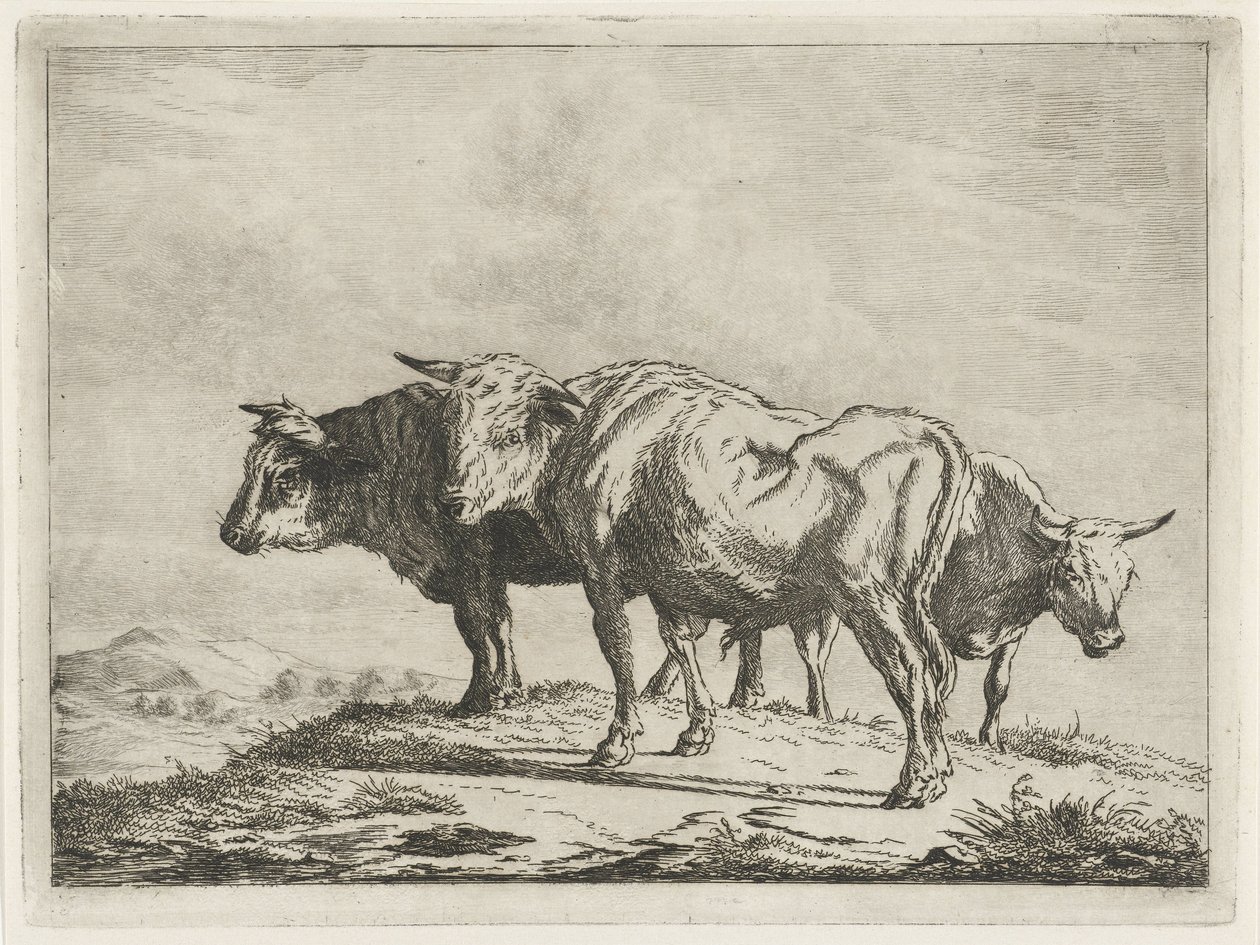 Tre oxar av Jacobus Cornelis Gaal