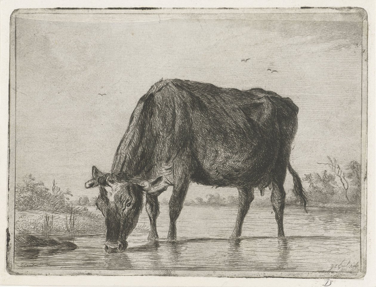 Drickande ko av Jacobus Cornelis Gaal