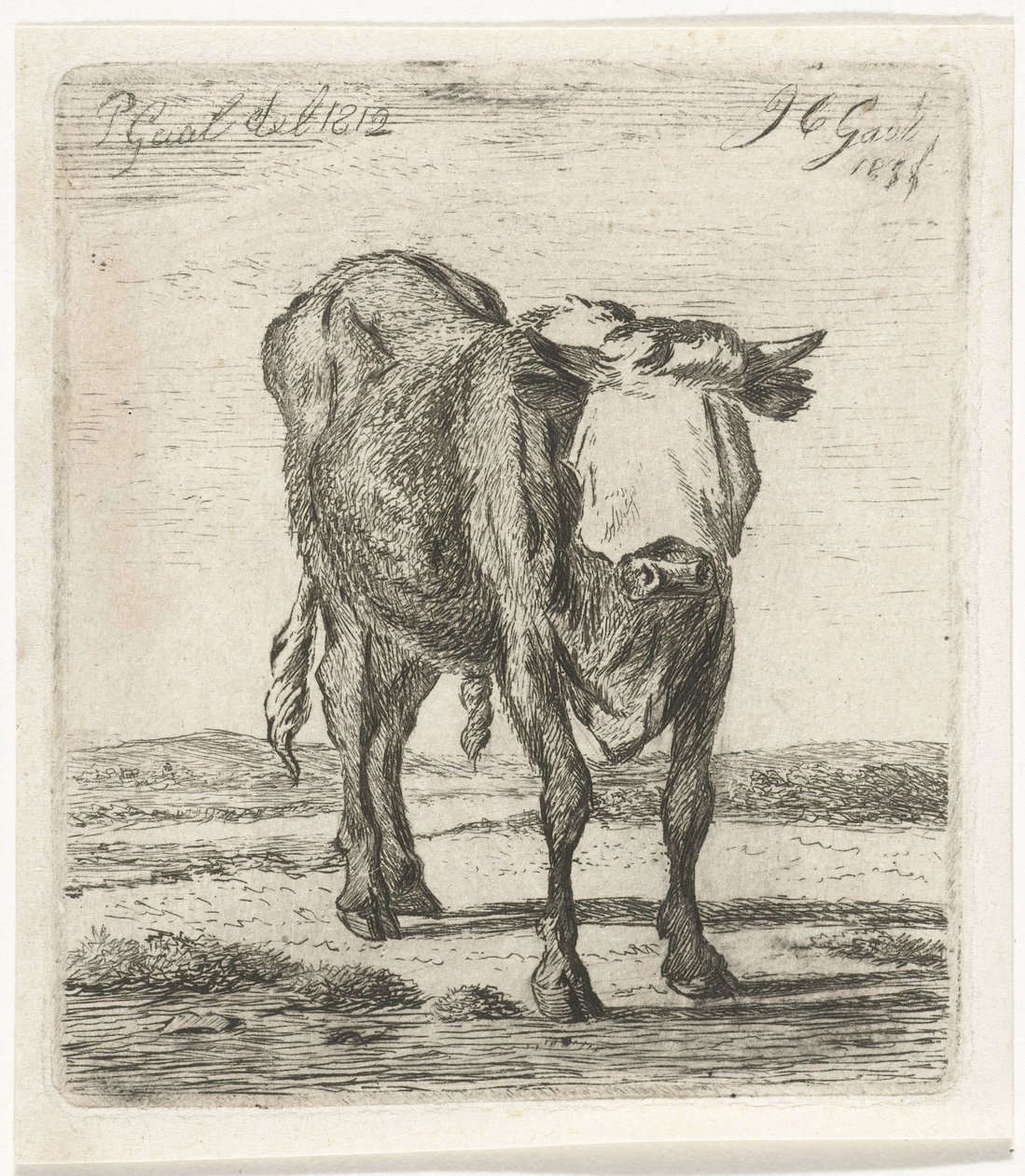 Tjur med ögonbindel av Jacobus Cornelis Gaal