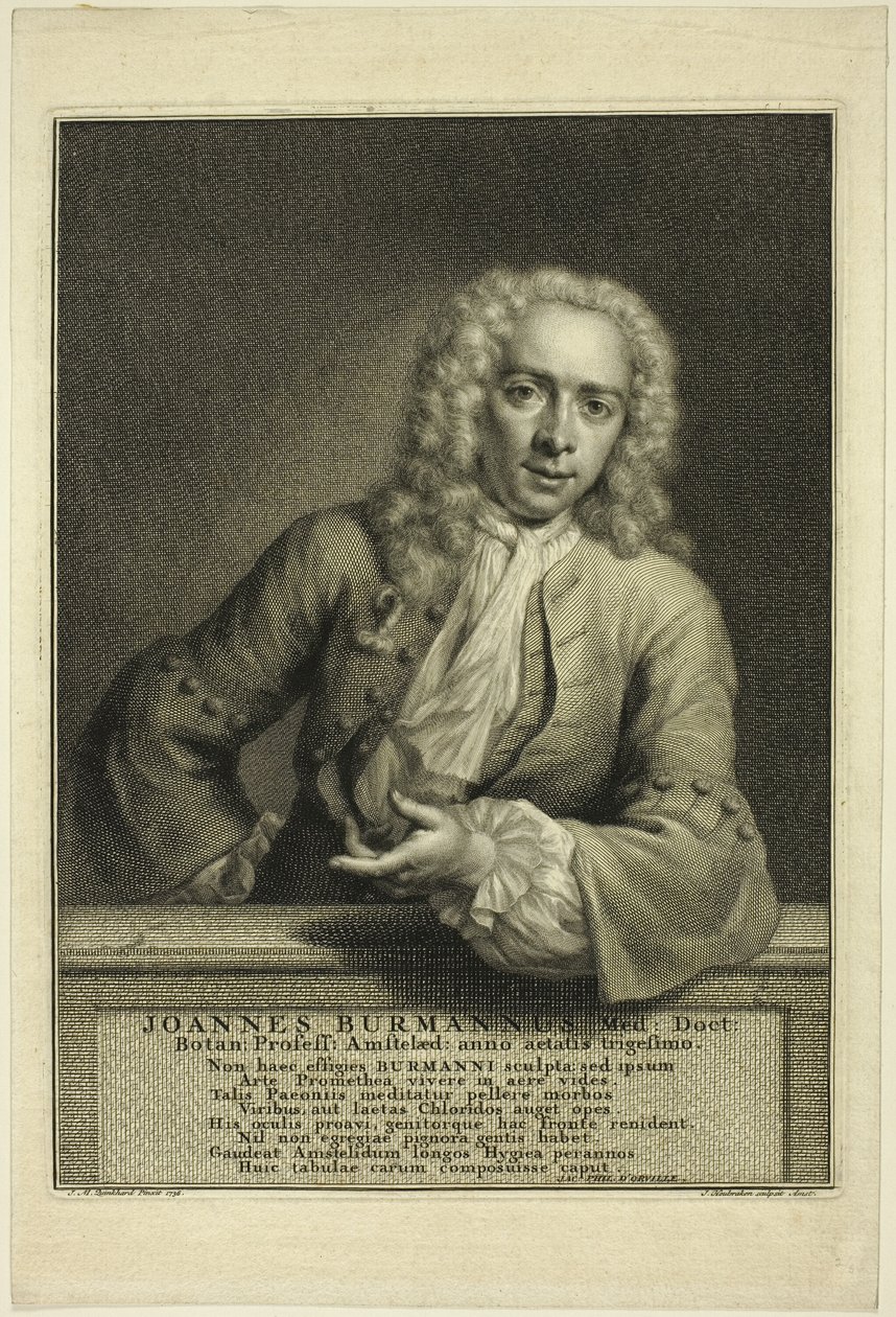 J. Burmannus av Jacobus Houbraken