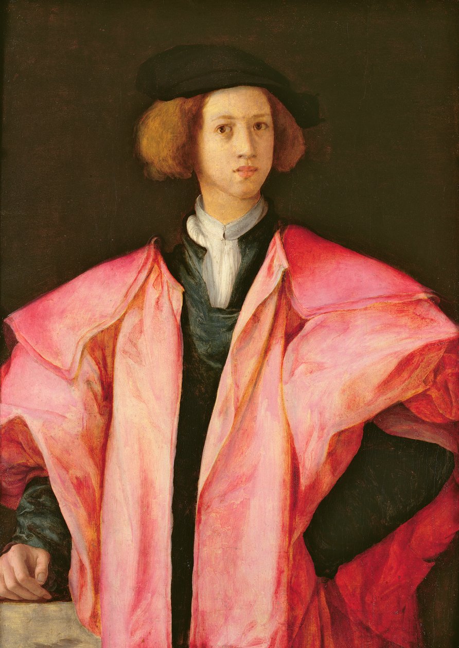 Porträtt av en ung man av Jacopo Pontormo