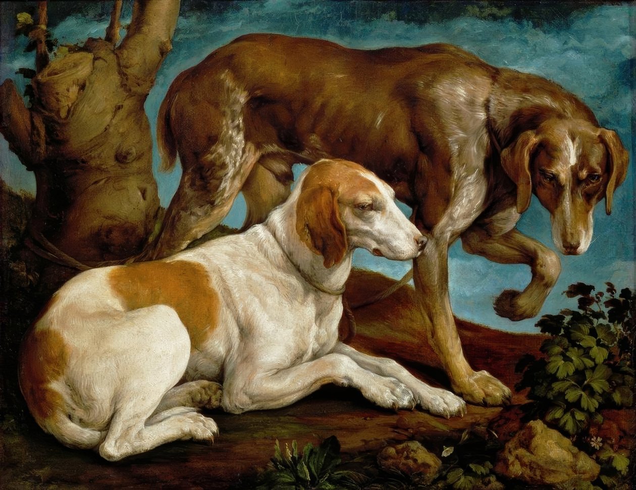 Två jakthundar bundna till en trädstubbe. av Jacopo Bassano