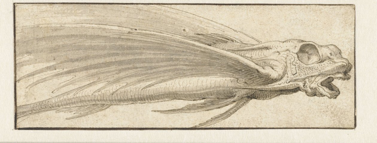 Flygande fisk av Jacopo Ligozzi