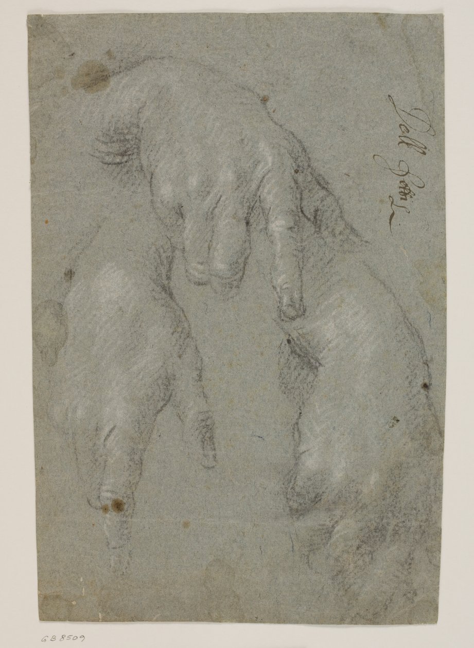 Tre studier av en högerhand av Jacopo Palma