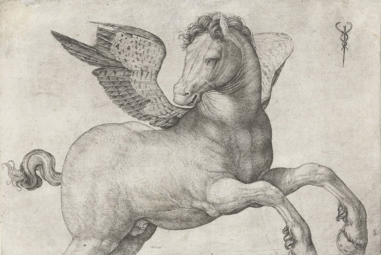 Pegasus, 1509-16 av Jacopo de Barbari