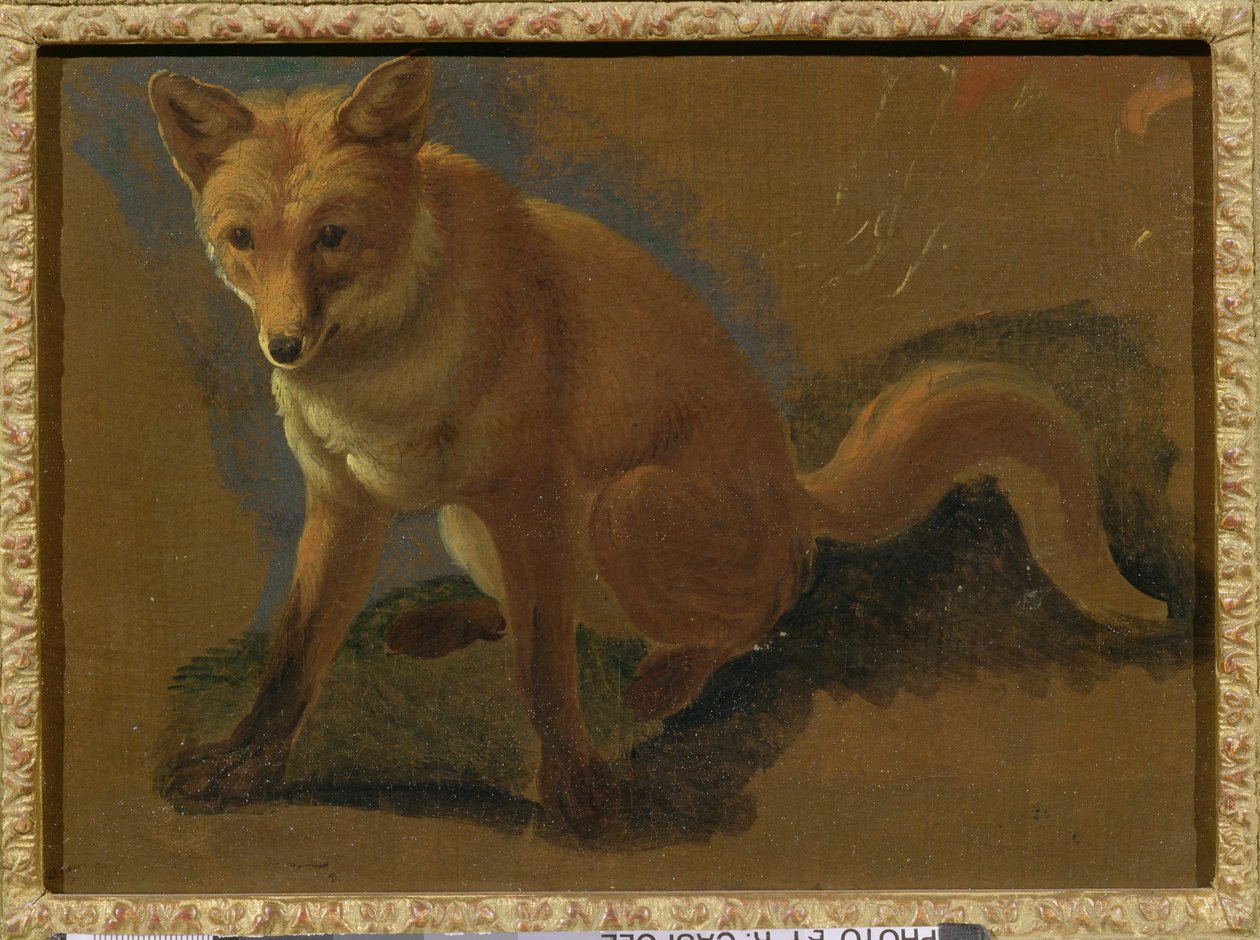 Studie av en räv av Jacques Laurent Agasse
