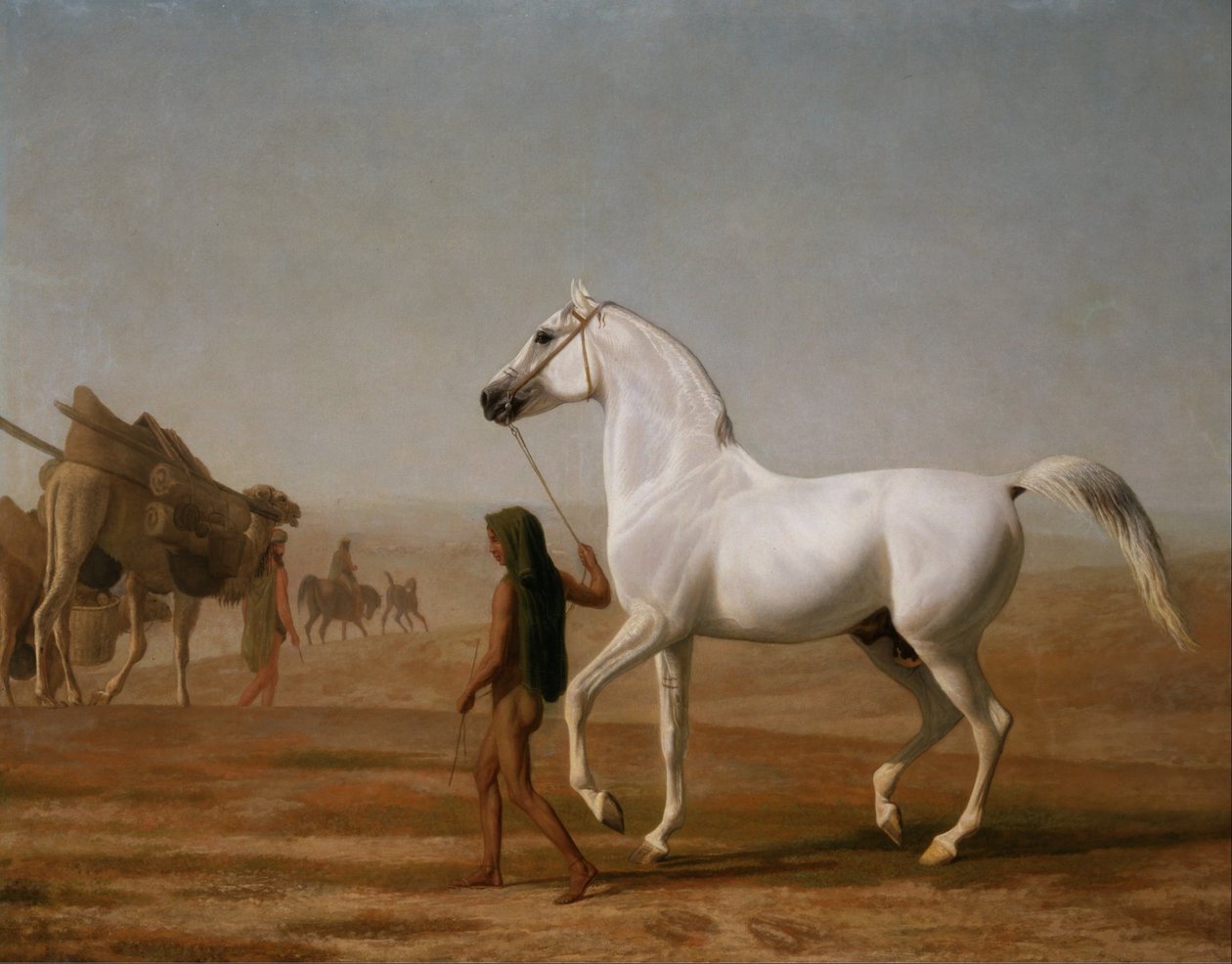 Wellesley Grey Arabian ledde genom öknen av Jacques Laurent Agasse
