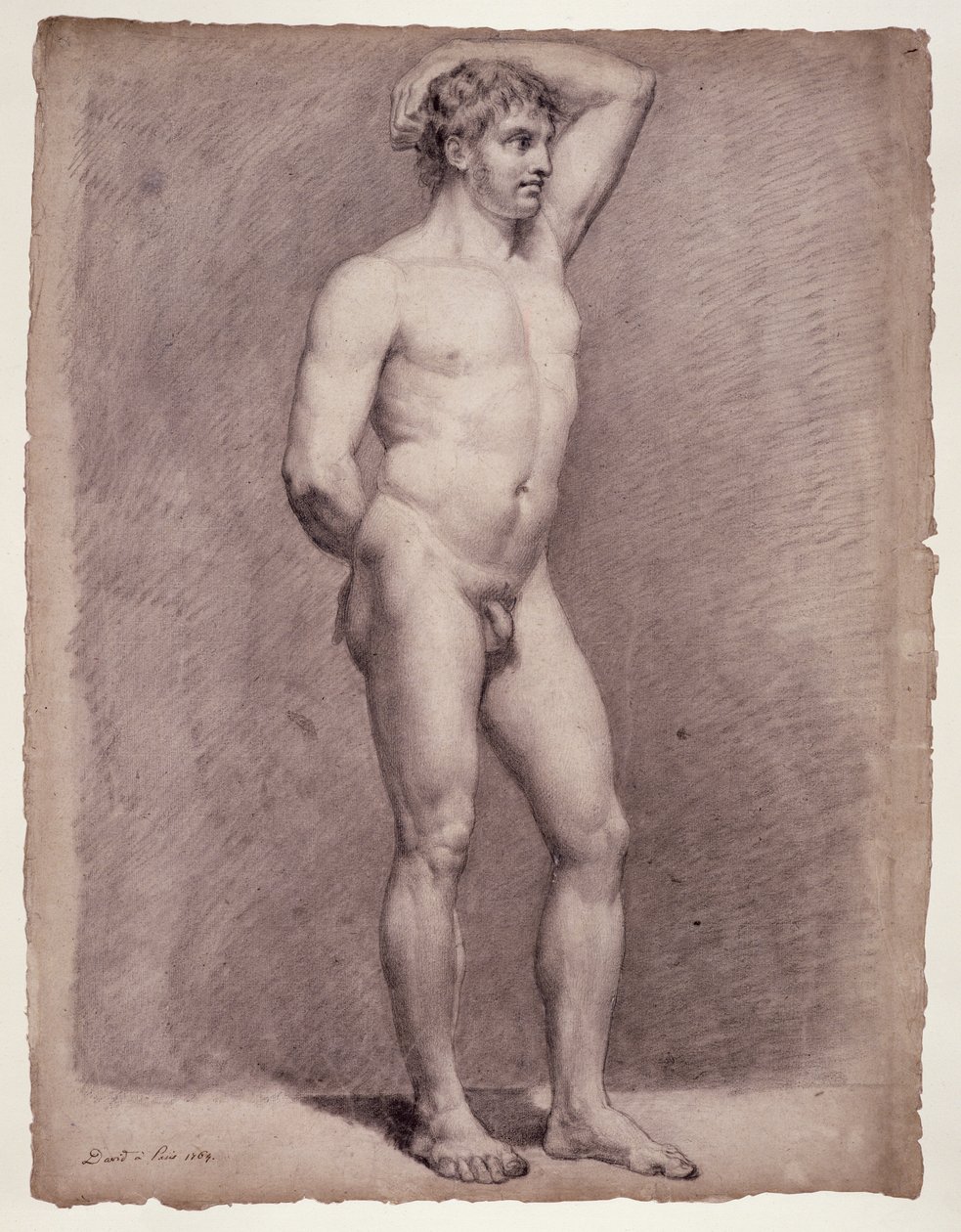 Academy Study of the Male Naken av Jacques Louis David