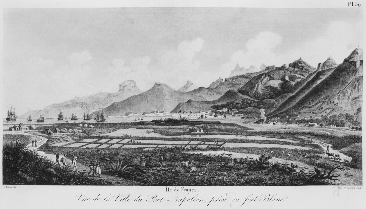 Ön Frankrike (Mauritius), utsikt över Port-Napoleon (bw gravyr) av Jacques Milbert