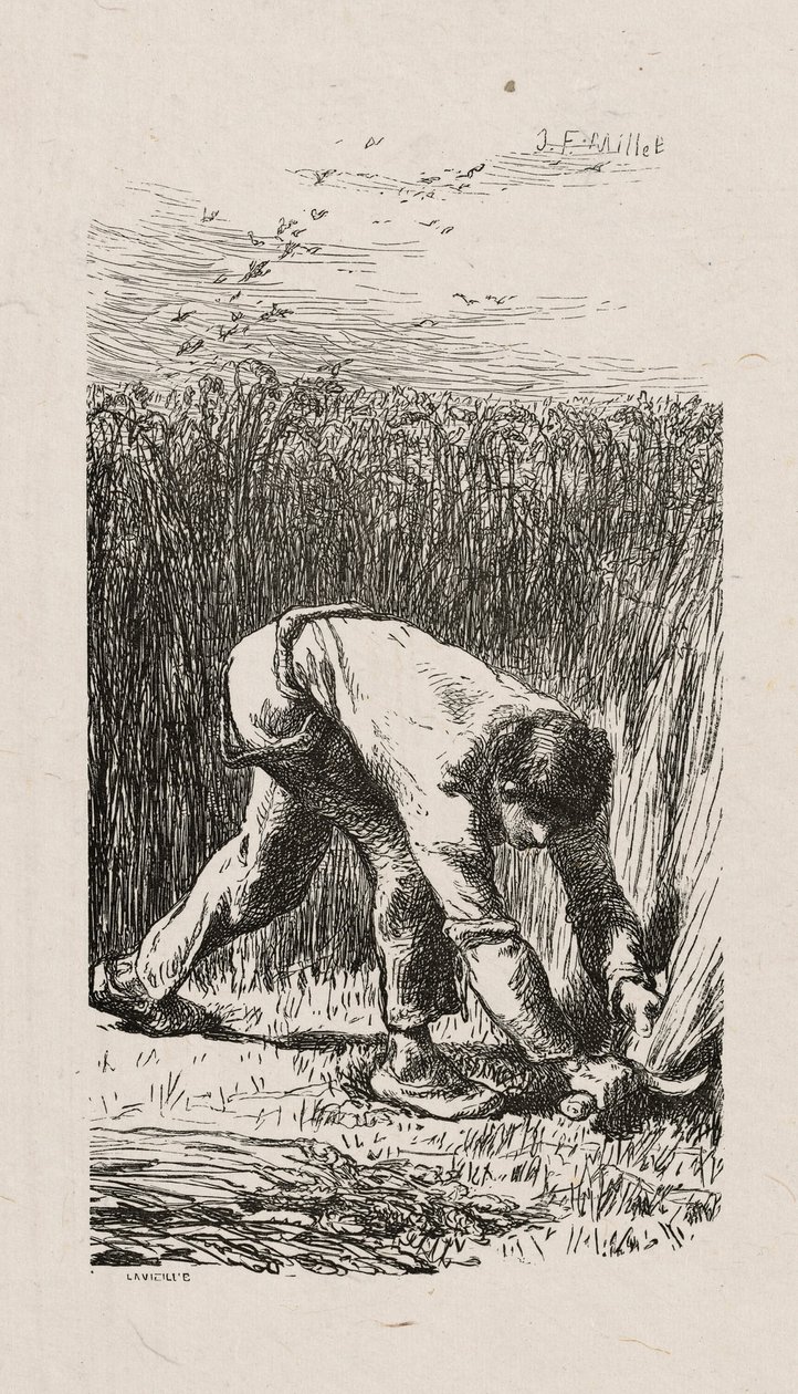 Skördeman av Jacques Adrien Lavieille