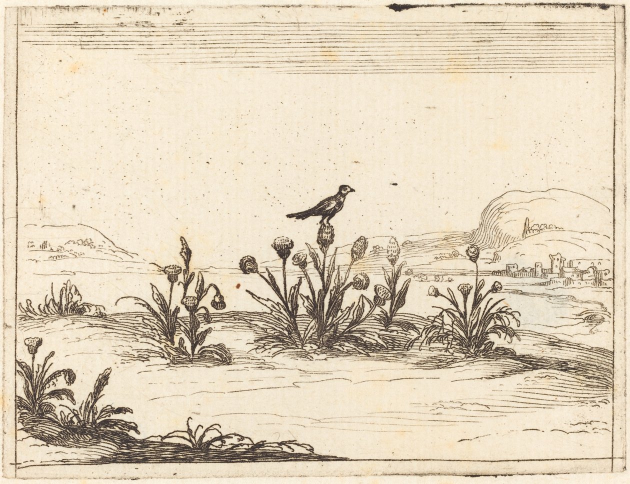 Fågel uppflugen i en tistel av Jacques Callot