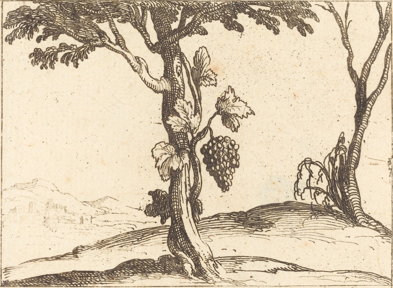 Druvklase av Jacques Callot
