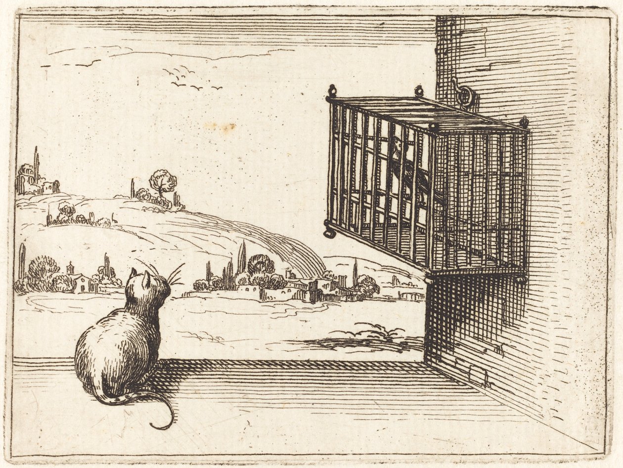 Katt som tittar på burfågel av Jacques Callot