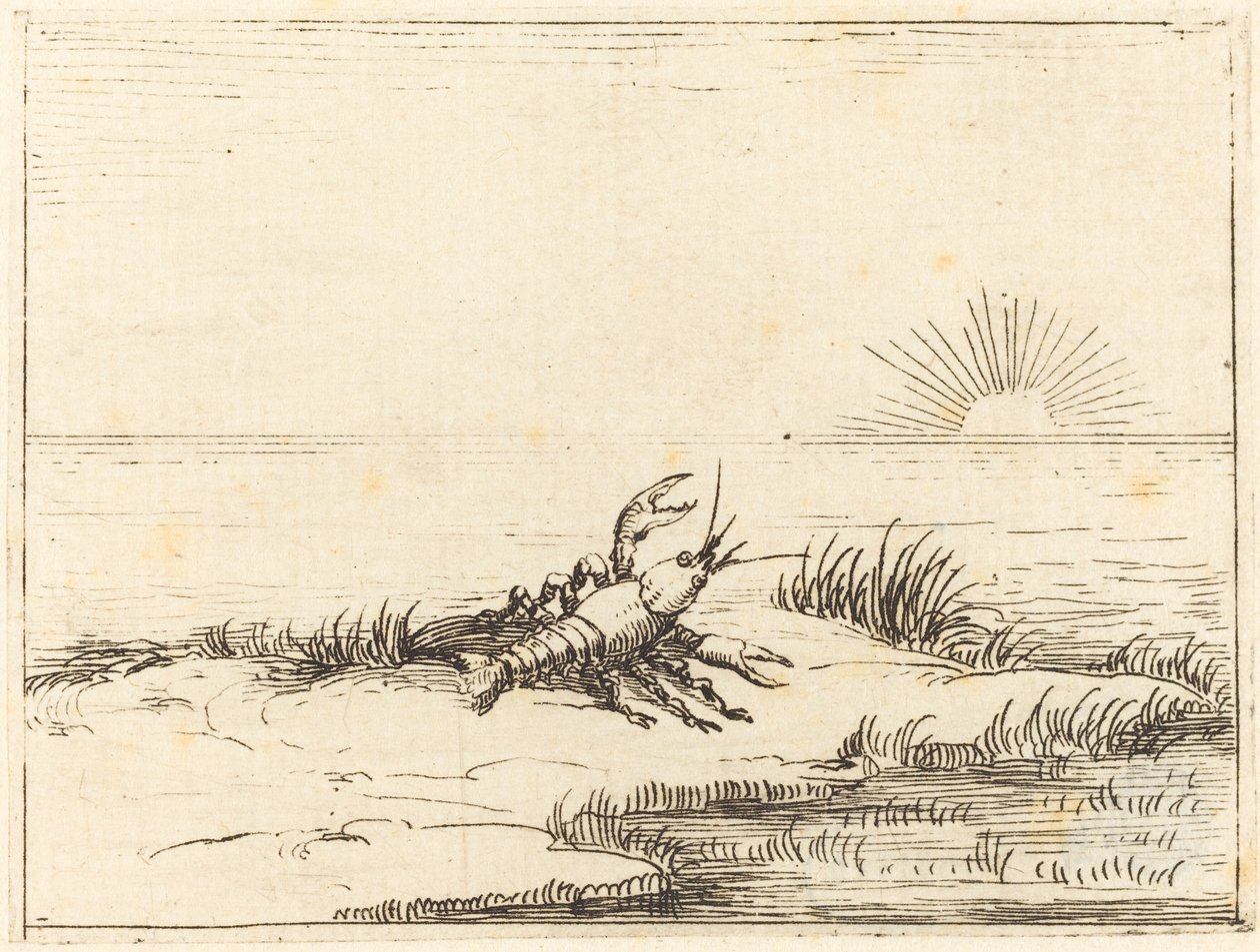 Kräftor tittar på solen av Jacques Callot