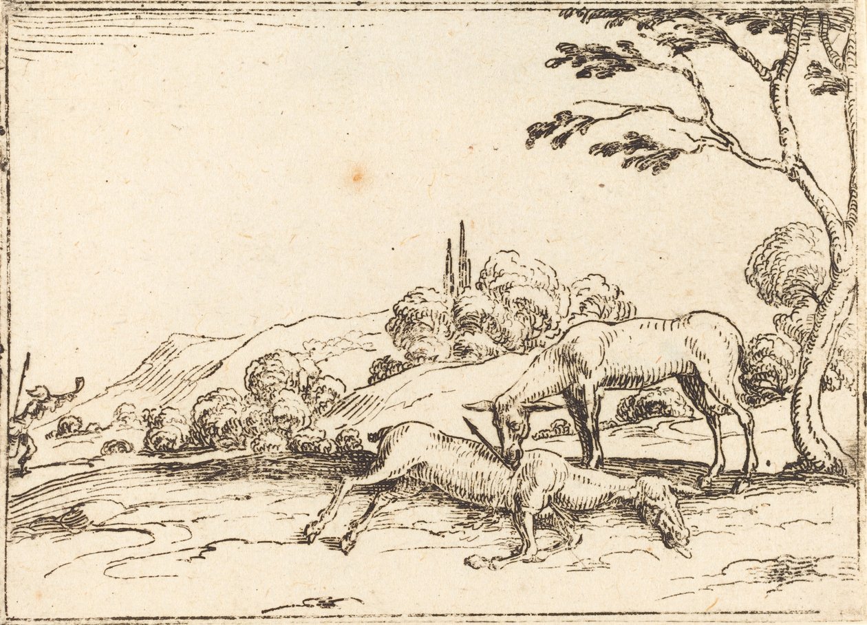 Doe som sörjer sitt föl. av Jacques Callot