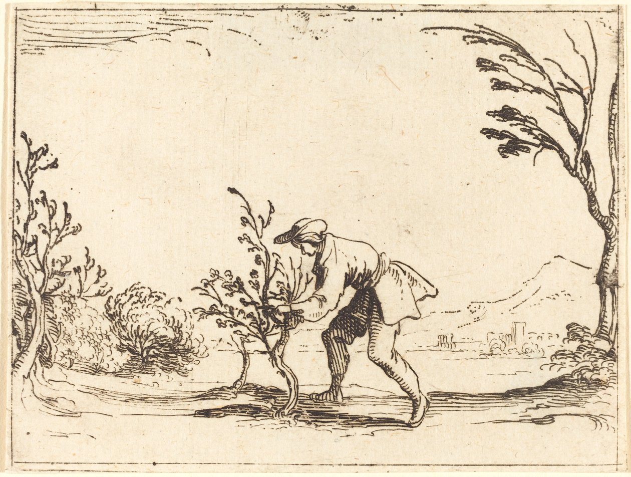 Man skär ett balsam-träd av Jacques Callot