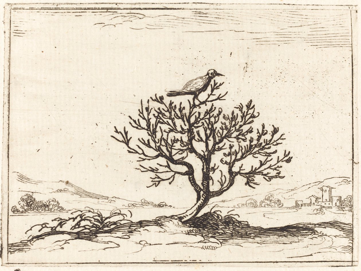 Näktergal i en buske av Jacques Callot