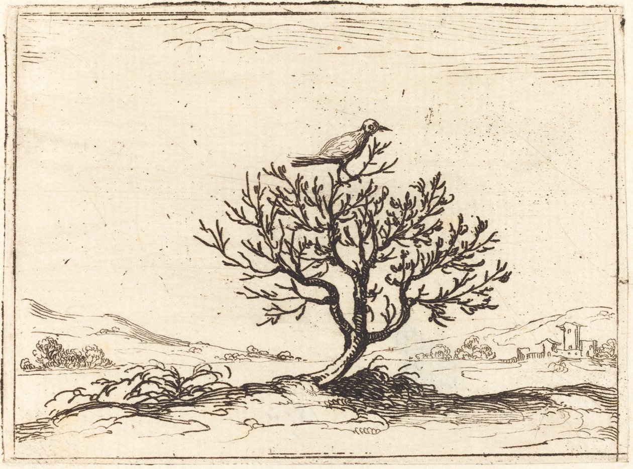 swedish av Jacques Callot